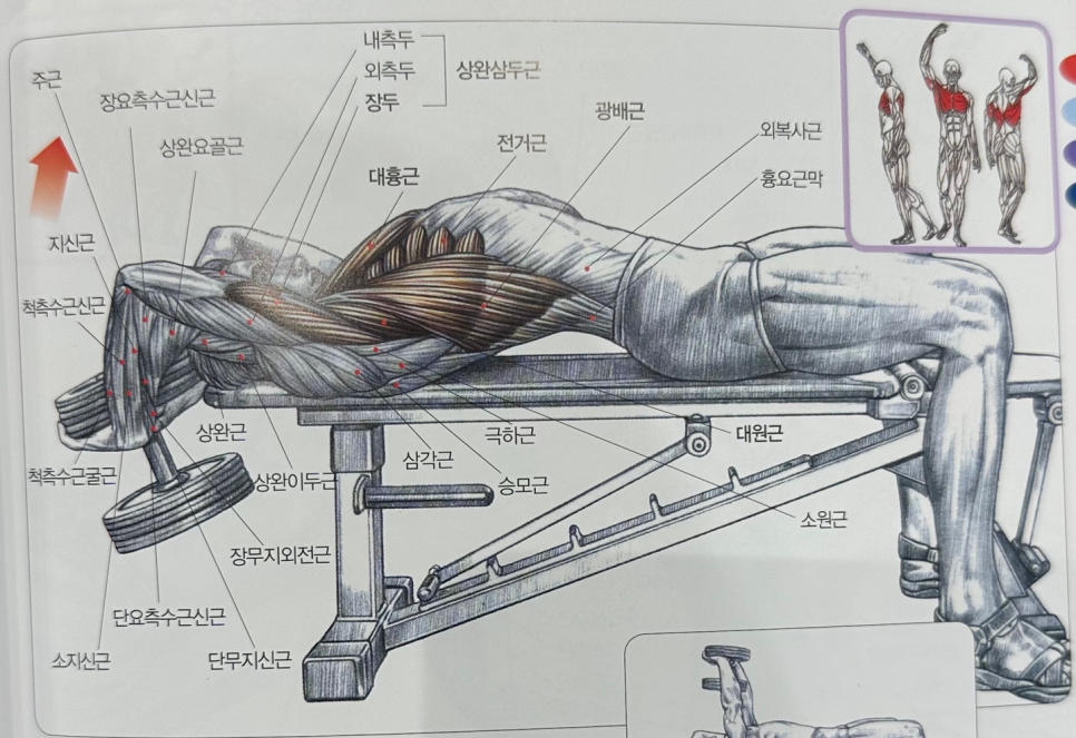 휘와함께 이미지