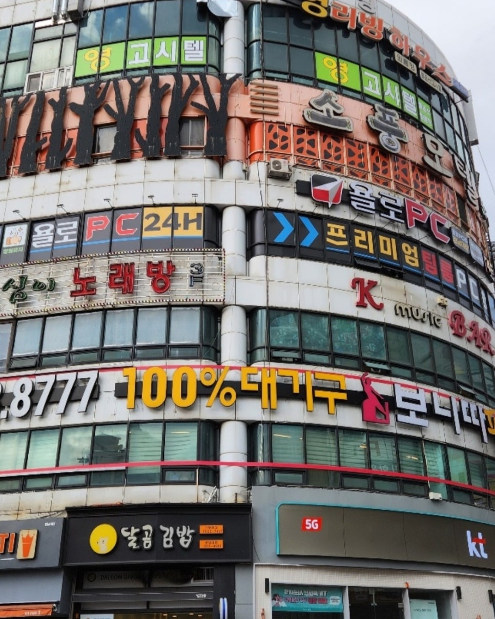 욜로클린 이미지