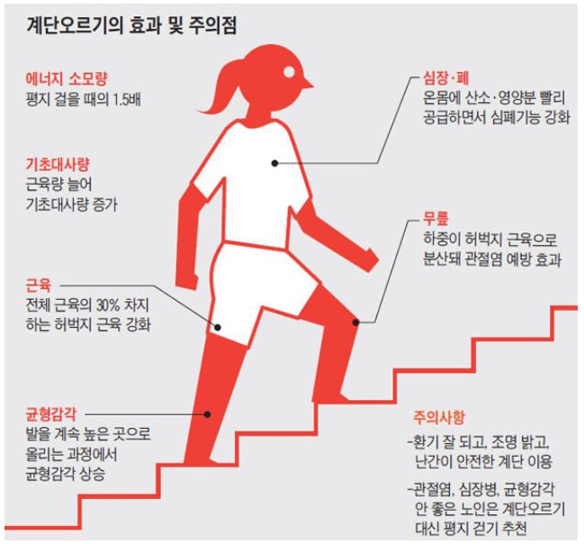 베스트요양보호사교육원 이미지