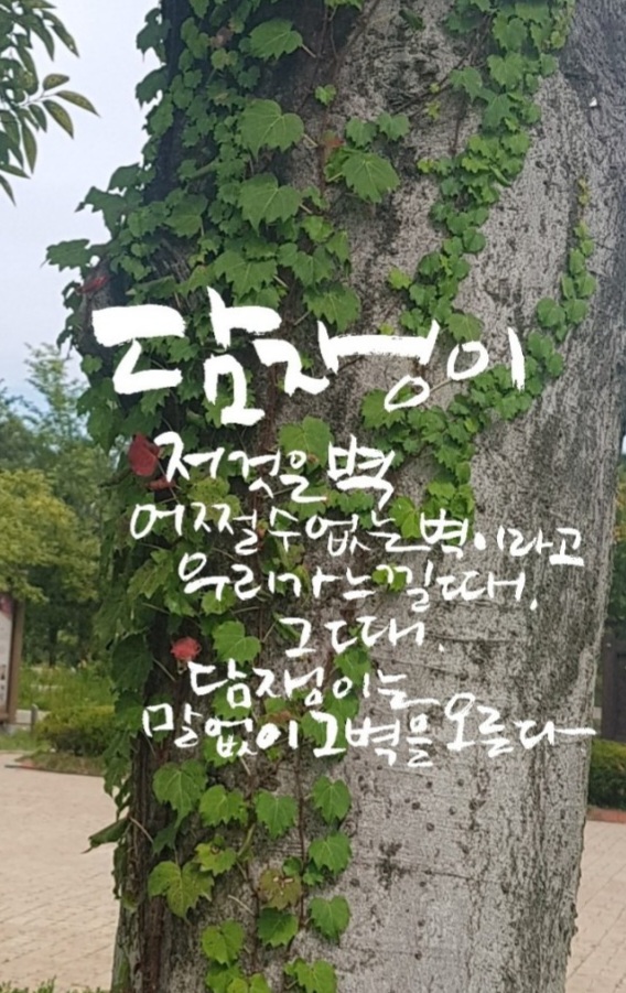 천안백석작심독서실 이미지