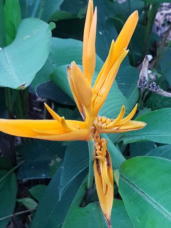 (주)세계로투어 이미지
