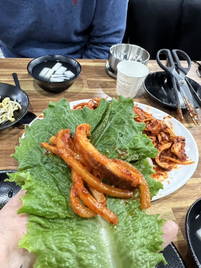 강원도 동해 오징어 보쌈 이미지