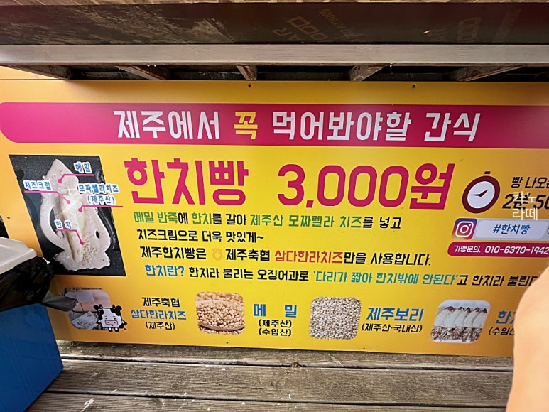 제주한치빵 이미지
