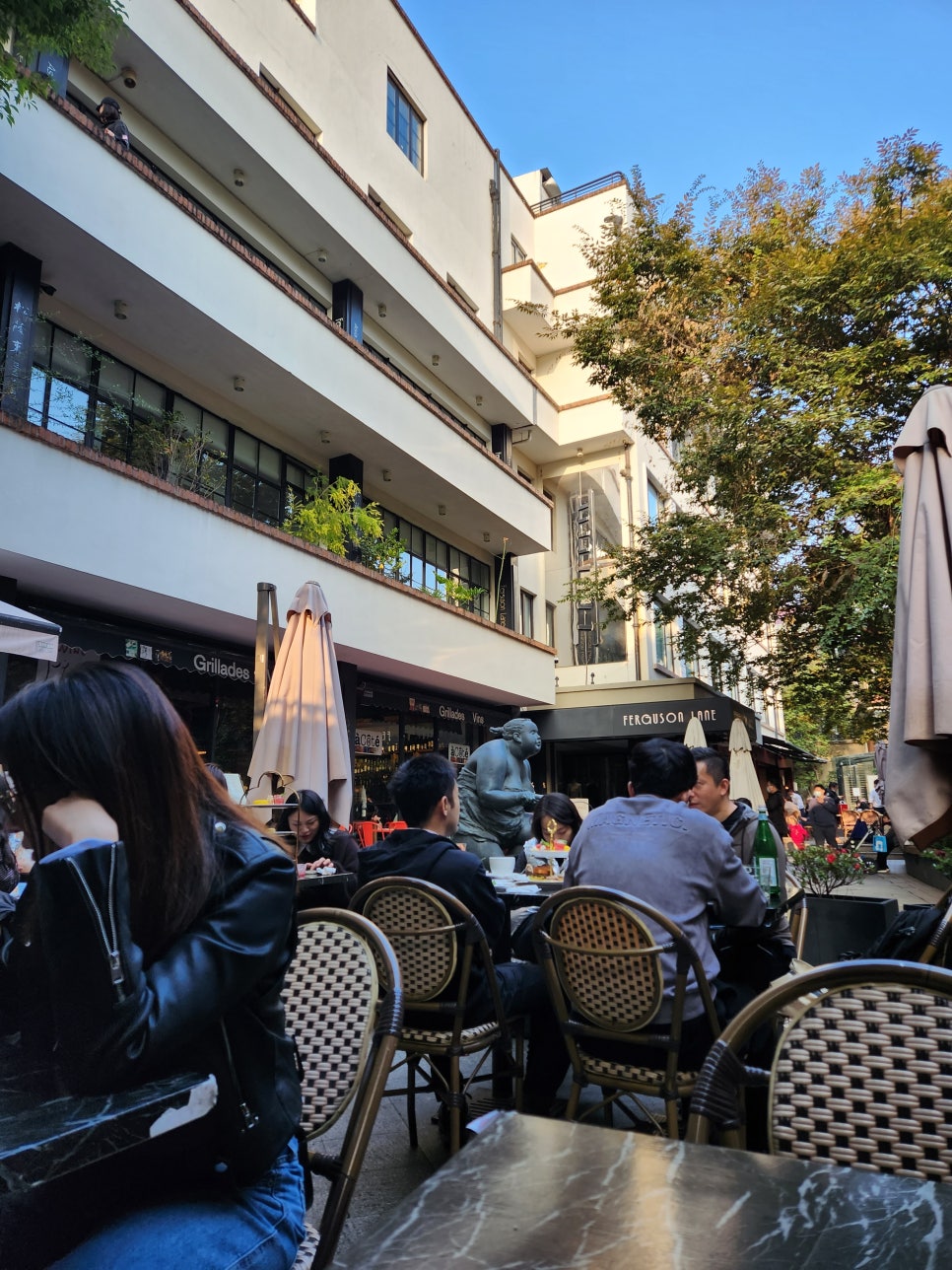 커피트리(COFFEE TREE) 이미지
