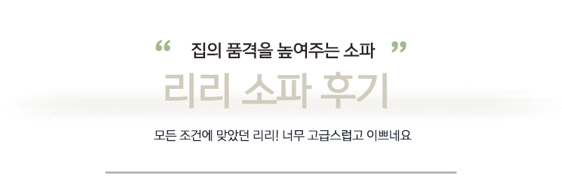 리리포레스트 이미지