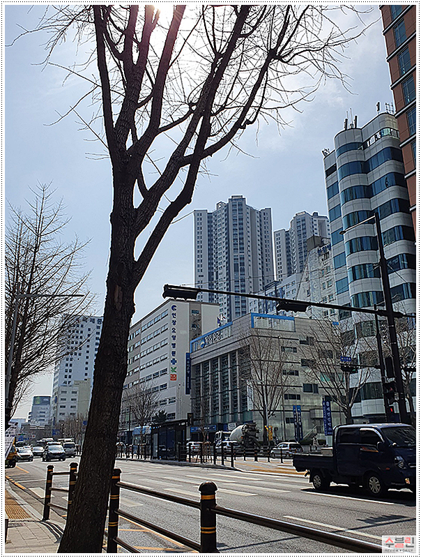 태성당 이미지