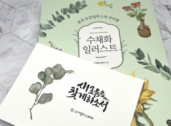 얼리래터 이미지