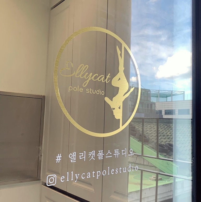앨리캣폴스튜디오 이미지