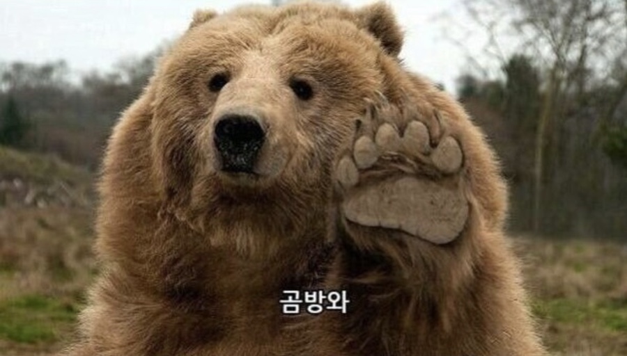 그레이스음악연습실 이미지
