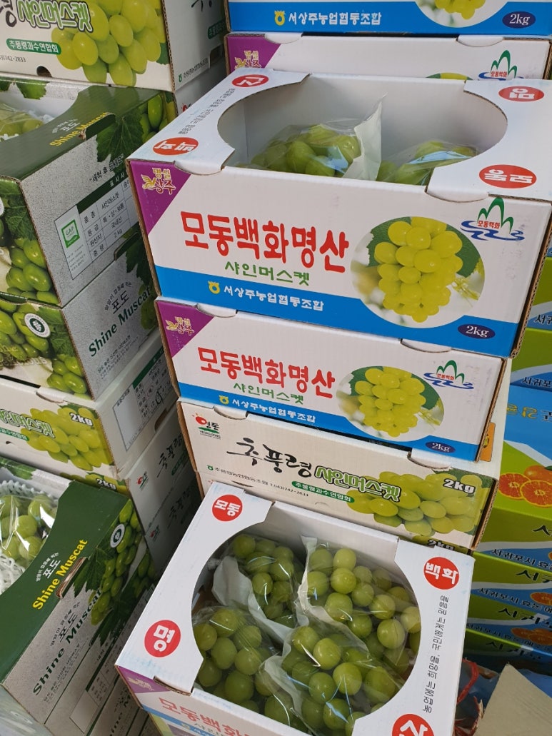 은계)텃밭은계 이미지