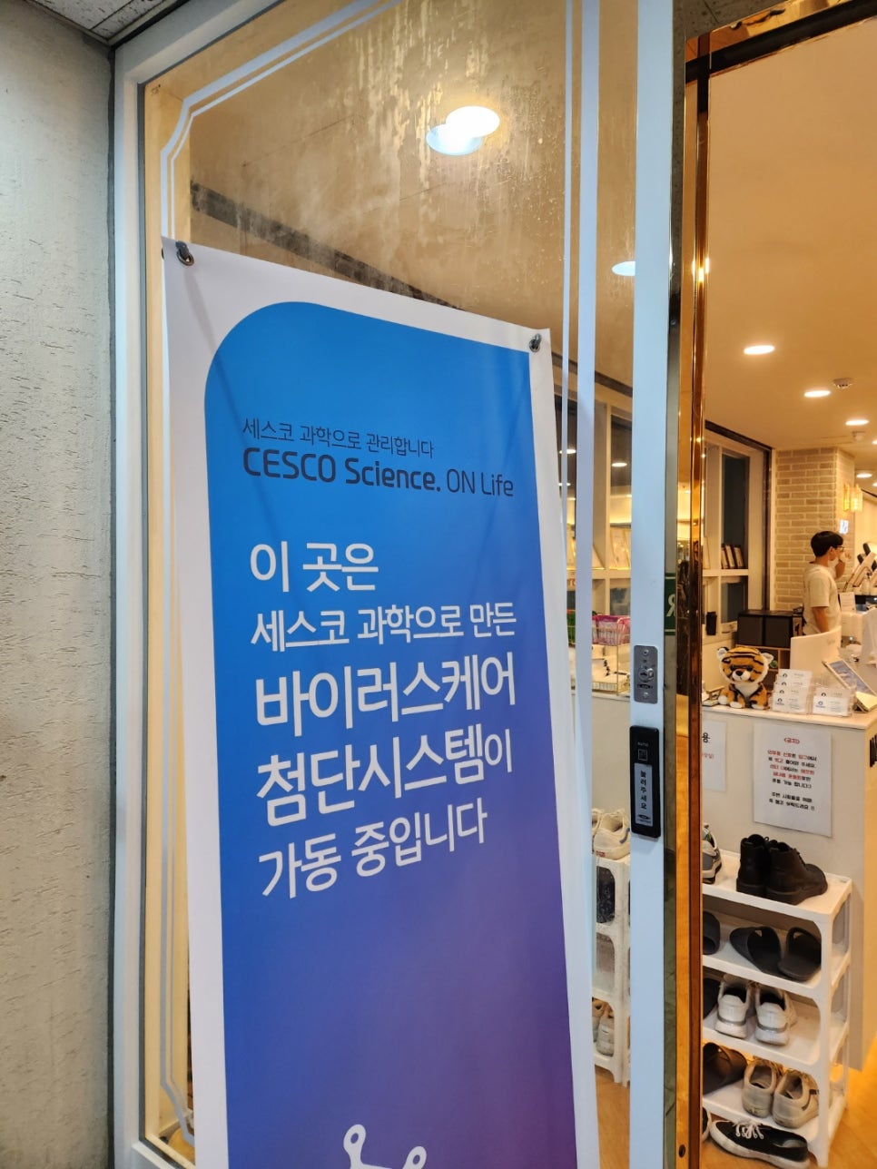 원스피티 이미지