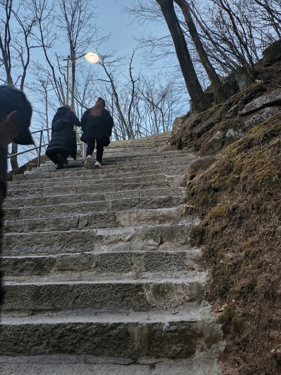 국제오리엔탈뱀부협회 이미지
