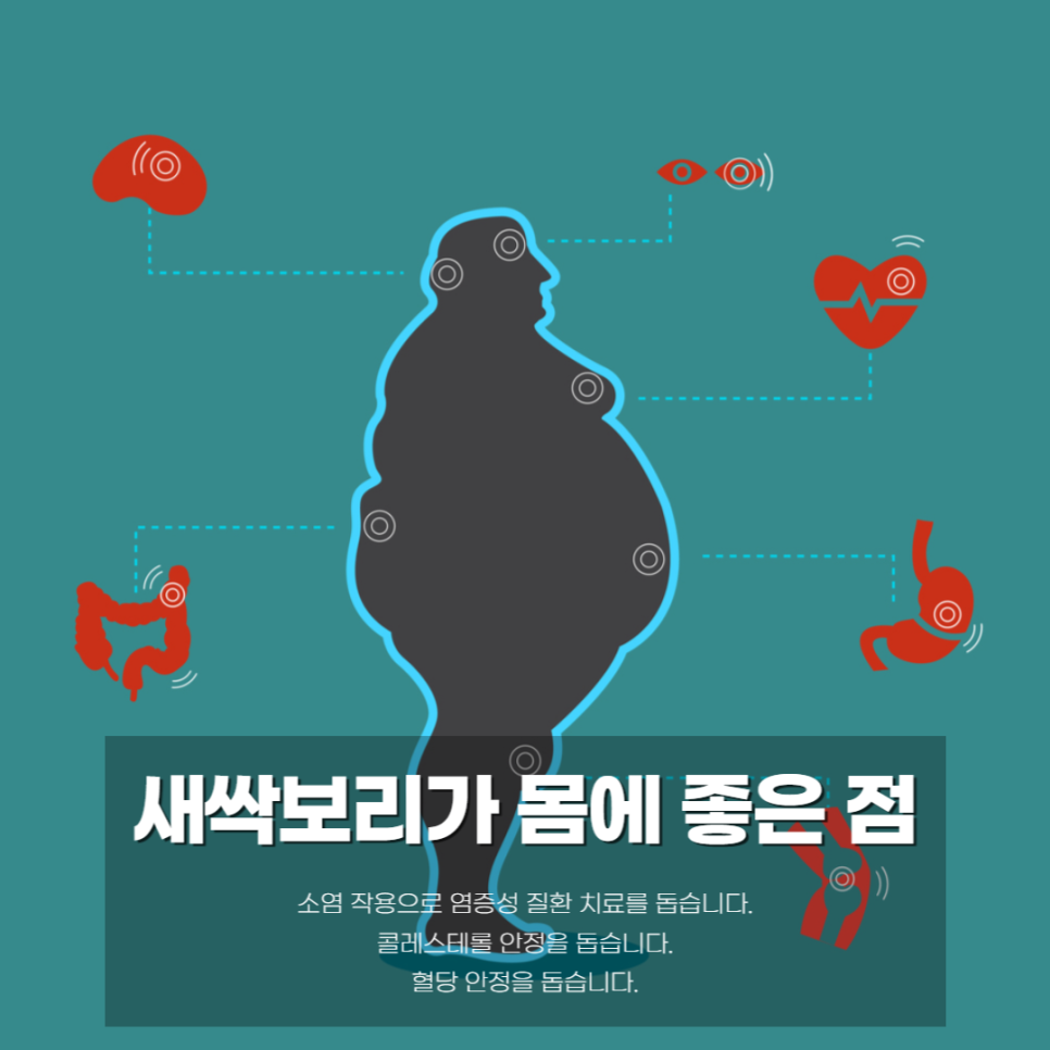 신풍영농조합법인 이미지