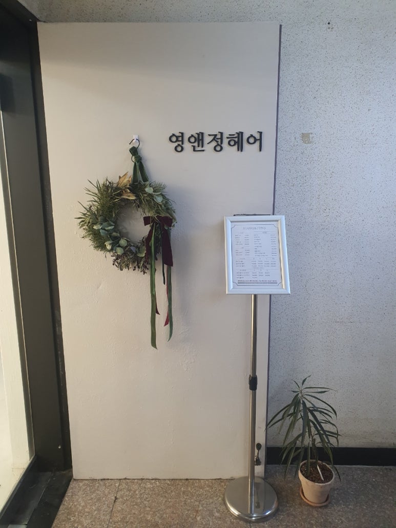 정앤영 이미지