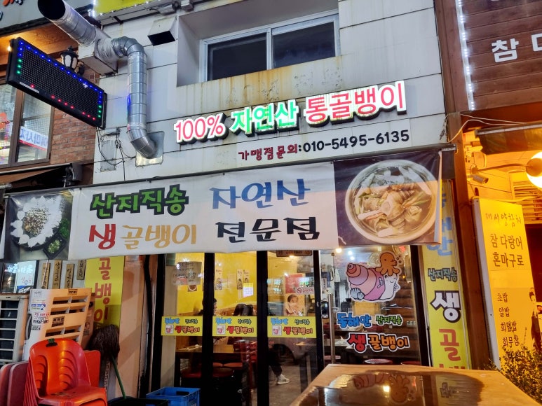 동해안생골뱅이 이미지