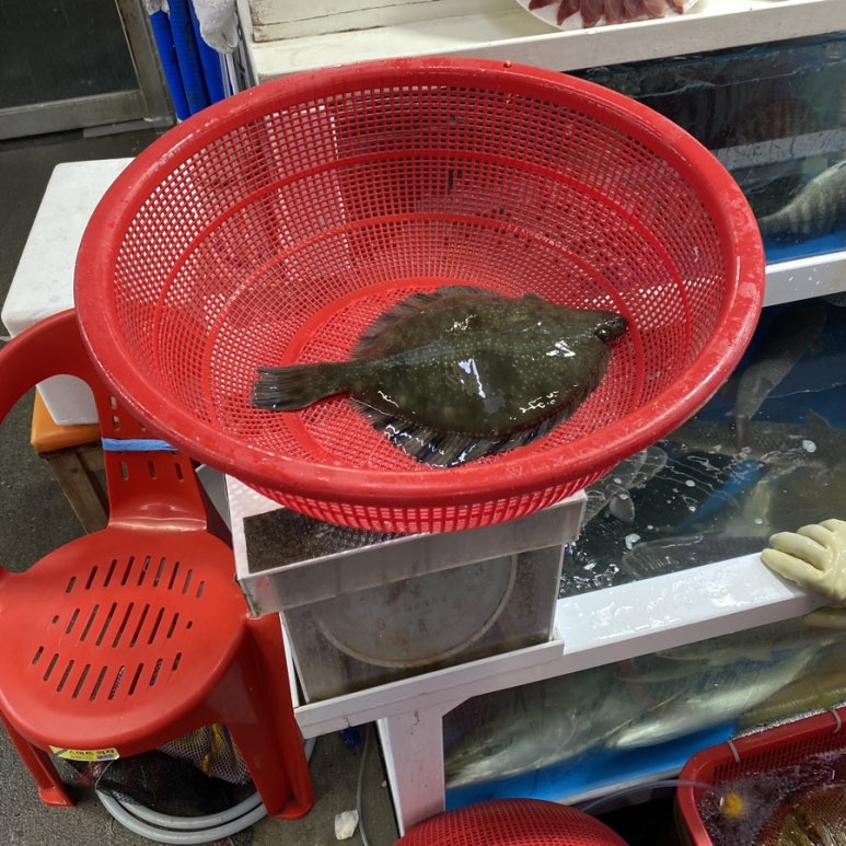 울산초장 이미지