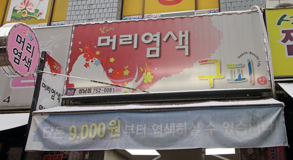 남·여 머리염색 구피샵 이미지