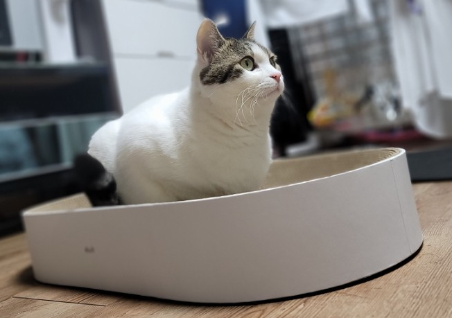 올두잇 이미지