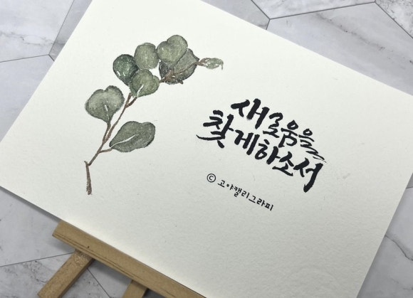 얼리래터 이미지