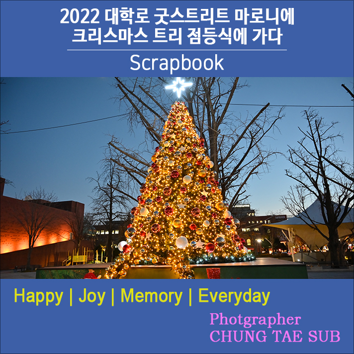 마로니에쉼터 이미지