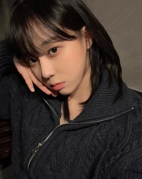 우디헤어 이미지