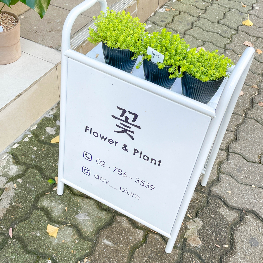 수정꽃집 이미지