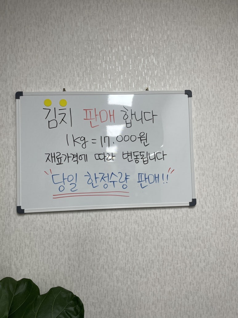 예손 이미지
