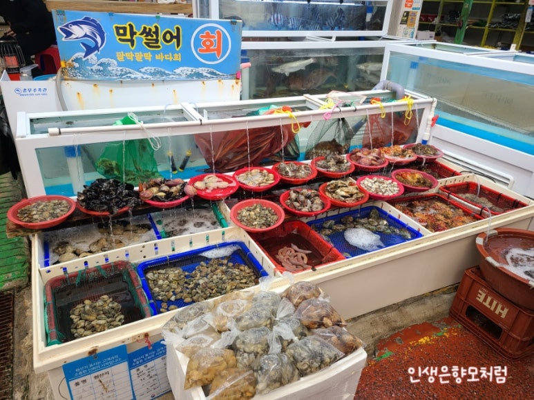 덕이수산 이미지