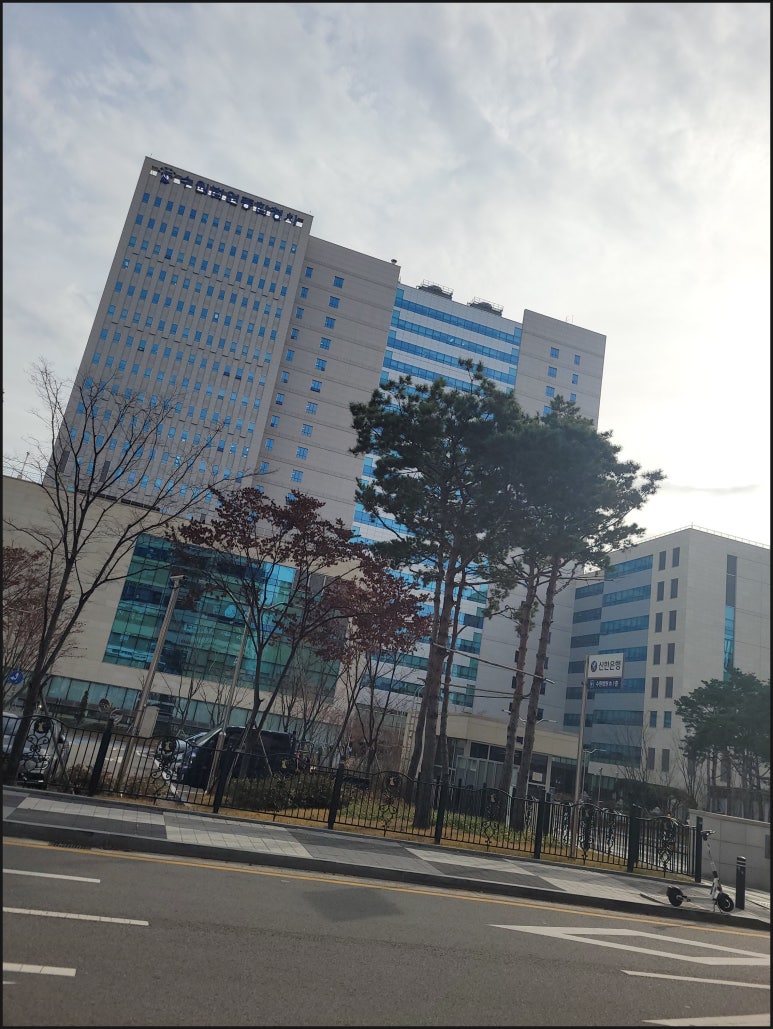법무법인경북삼일 이미지