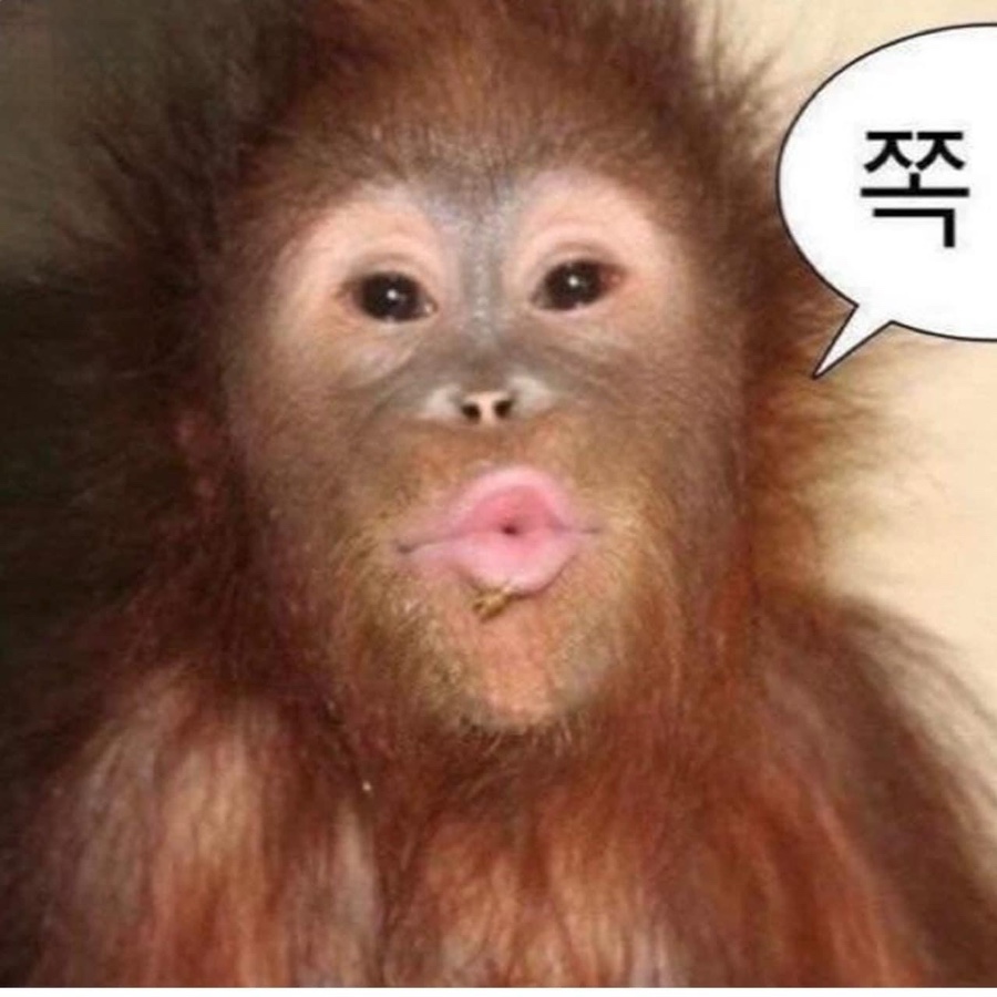골드스마일 이미지
