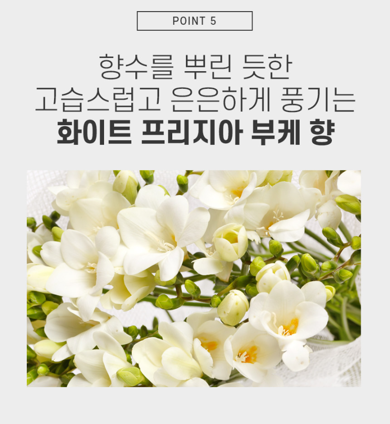 라베 이미지