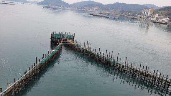메르치보꾸 이미지