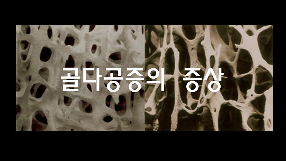 감일든든한내과 이미지