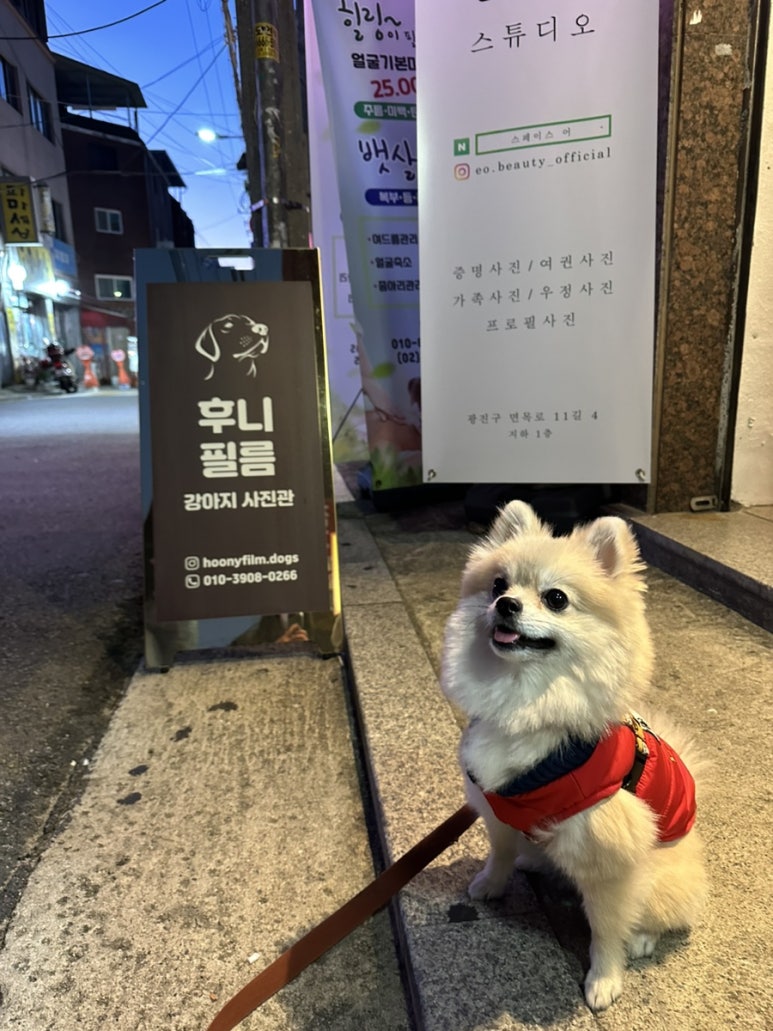 후니필름 이미지