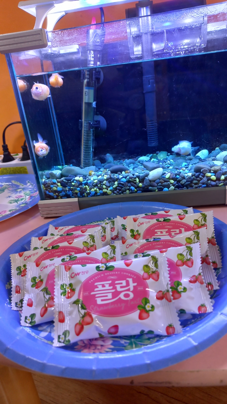 새상지음악학원 이미지