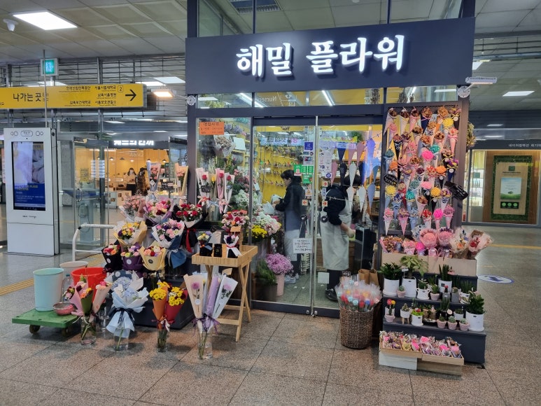 해밀플라워 이미지