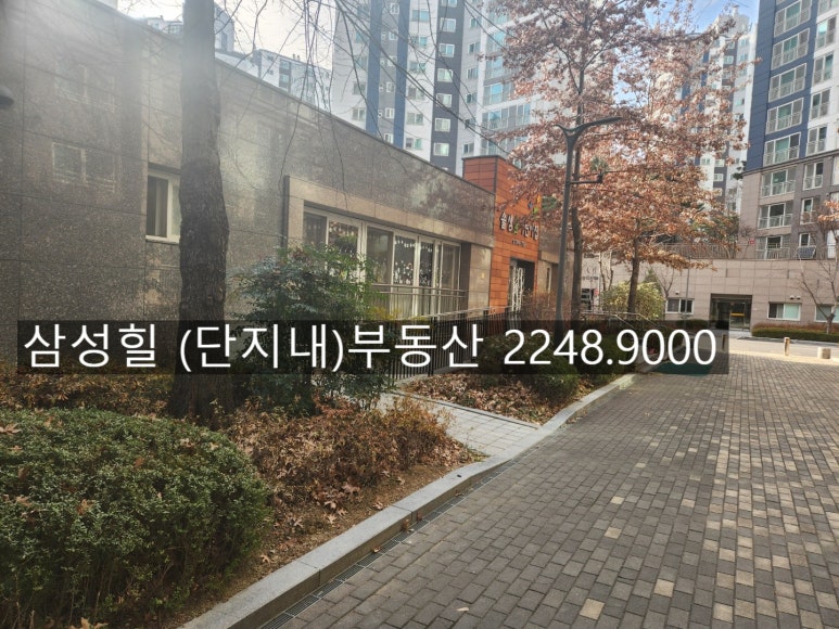 솔샘숲어린이집 이미지
