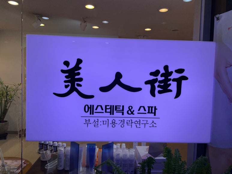 백에스테틱 이미지