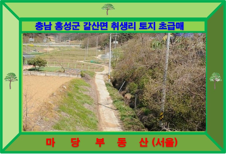 [국도29] 홍성군 취생리 이미지