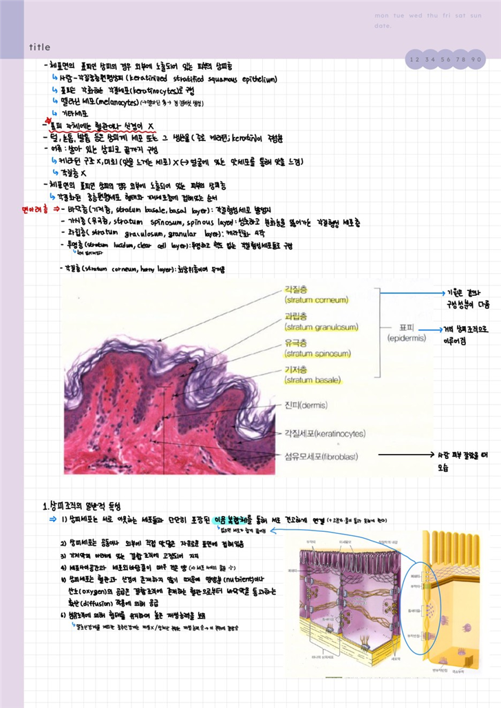 국민수산 이미지