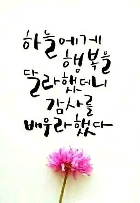 에어메딕 이미지