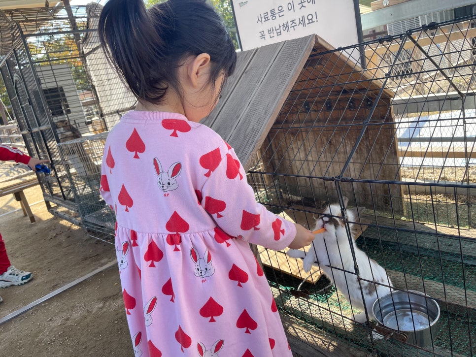 다솜어린이집 이미지