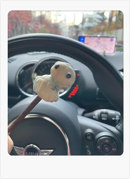 가항국제 이미지