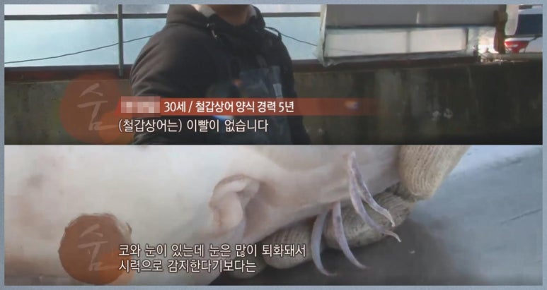 상어식당 이미지