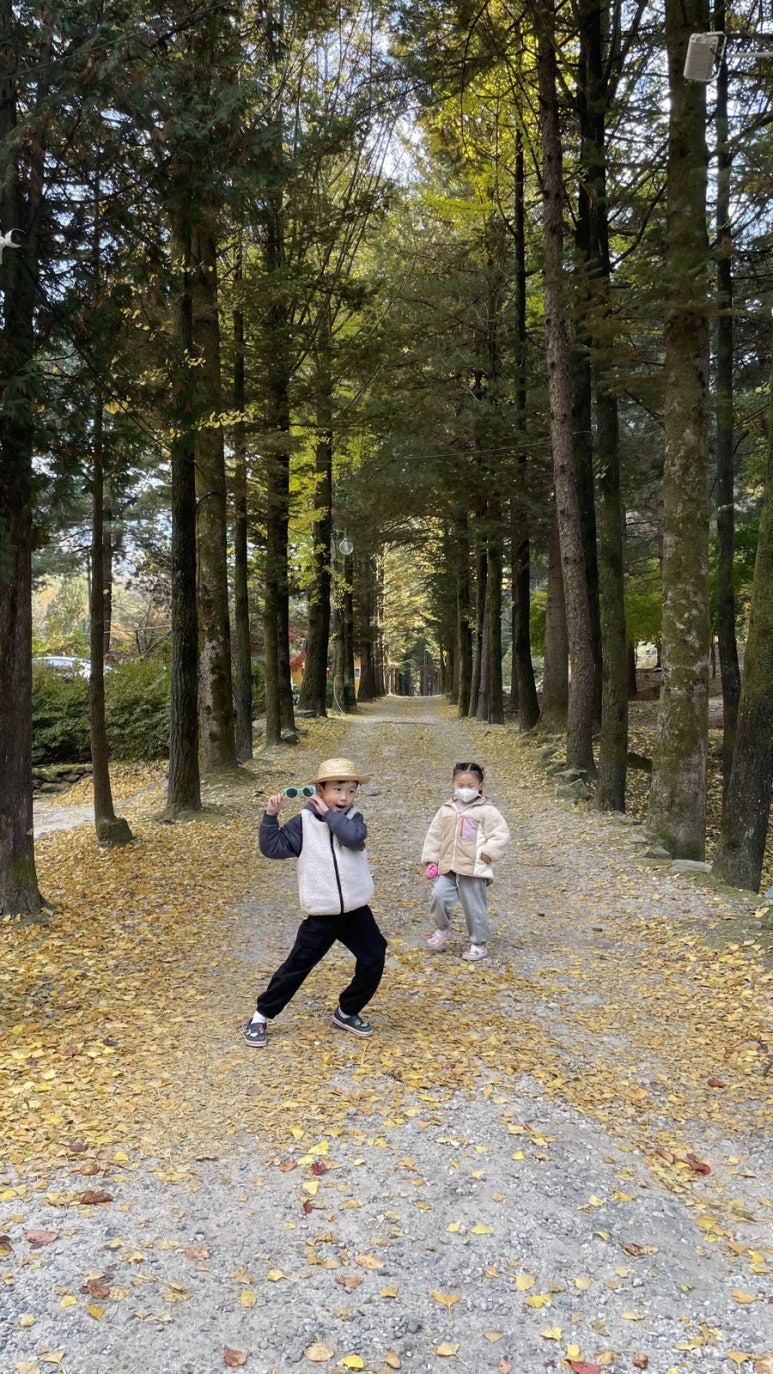 파랑새둥지 이미지