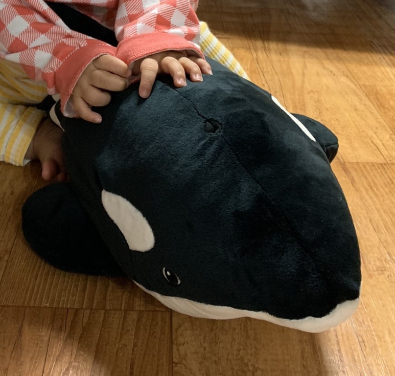 하울푸드 이미지