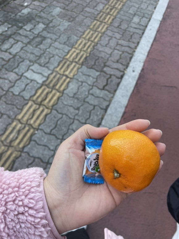 강남밀밥 이미지