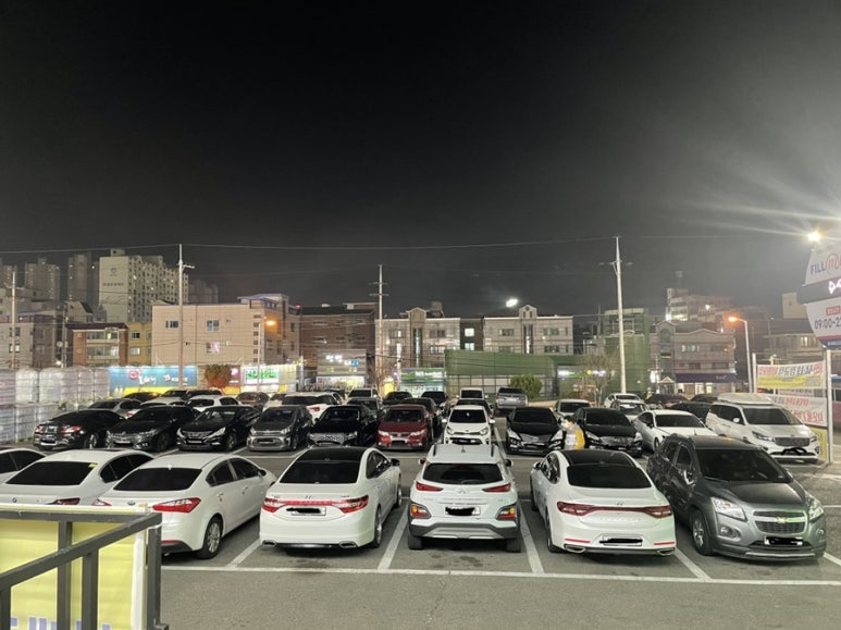 울산정자참가자미회타운 이미지