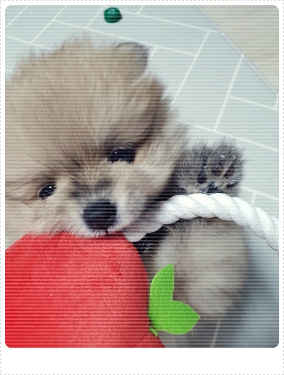 아줌마식당 이미지