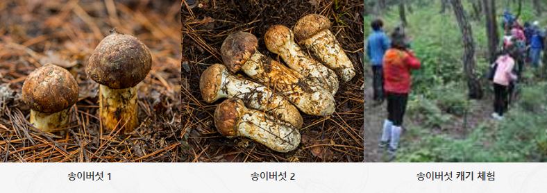 성덕식품 이미지